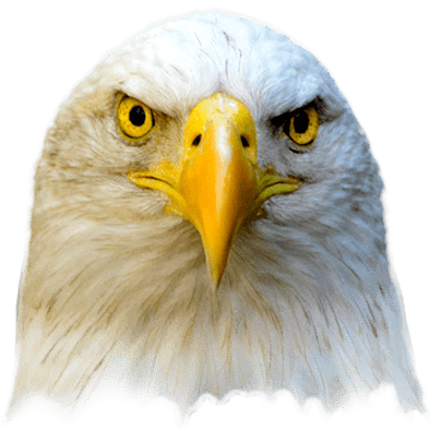 eagle persona