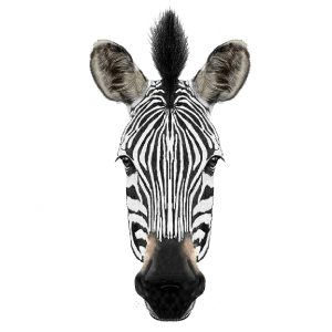 zebra persona